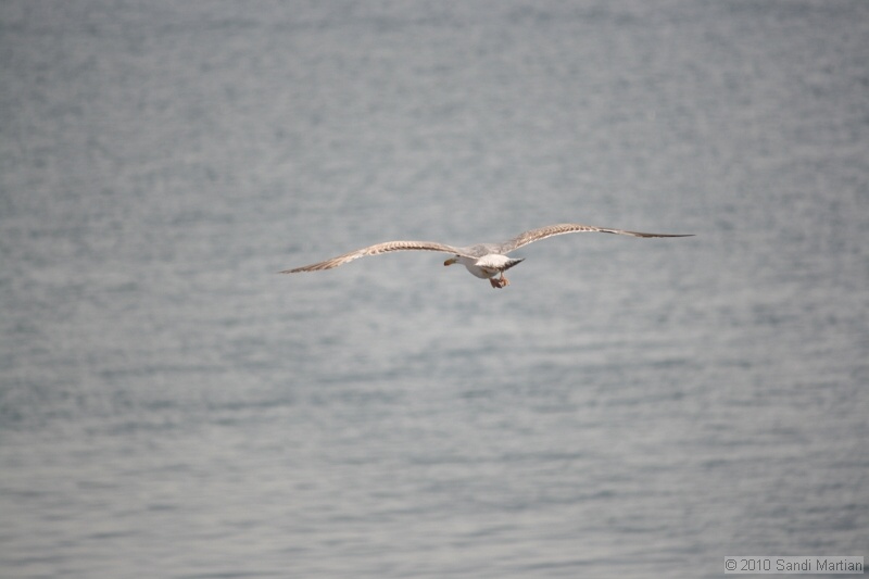 IMG_1156.jpg