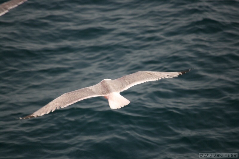IMG_1163.jpg