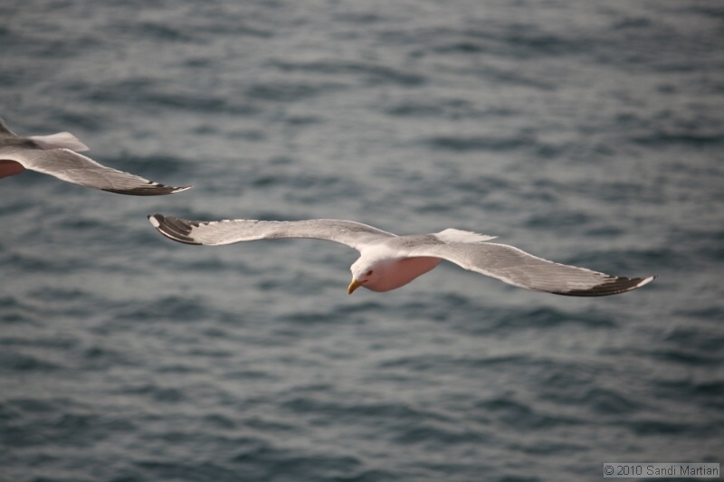 IMG_1180.jpg