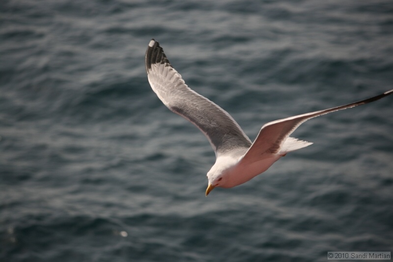 IMG_1182.jpg