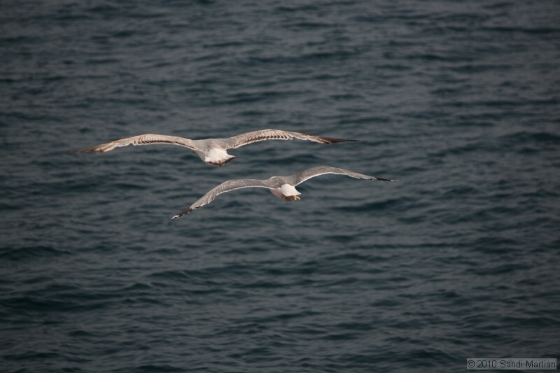 IMG_1183.jpg