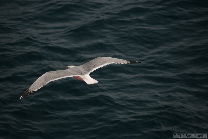 IMG_1185.jpg