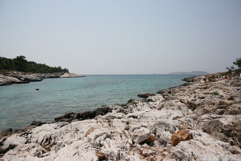IMG_1212.jpg