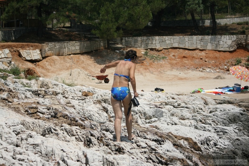 IMG_1275.jpg