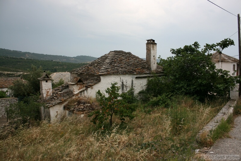 IMG_1461.jpg