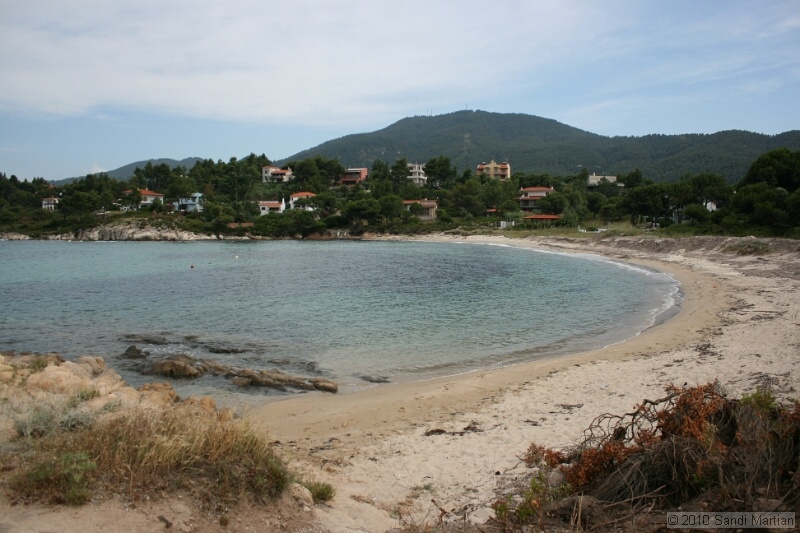 IMG_1648.jpg