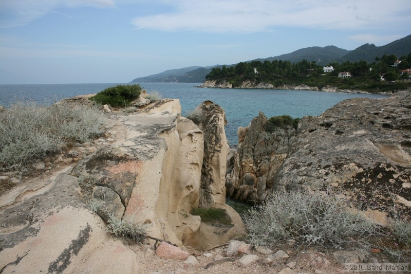 IMG_1657.jpg