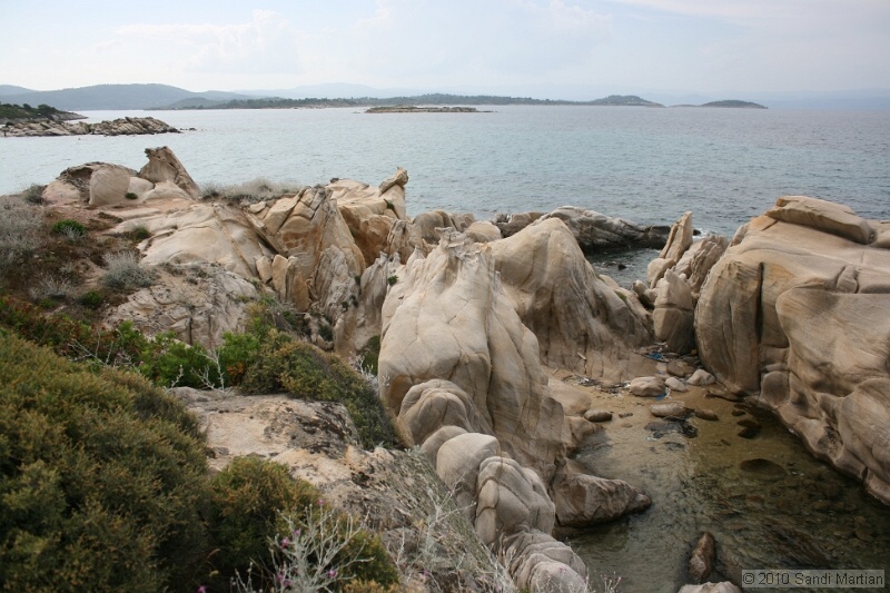IMG_1660.jpg
