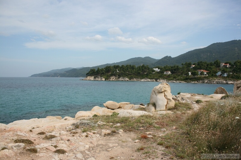 IMG_1667.jpg