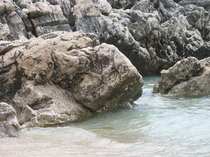 IMG_4209.JPG