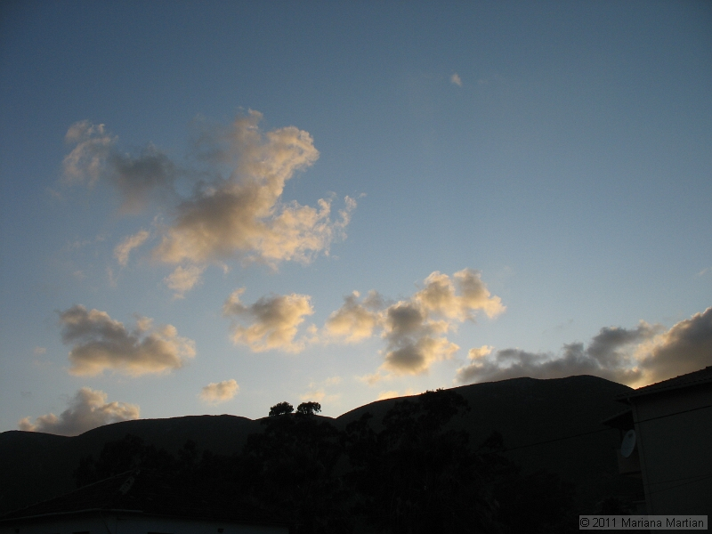 IMG_4231.JPG