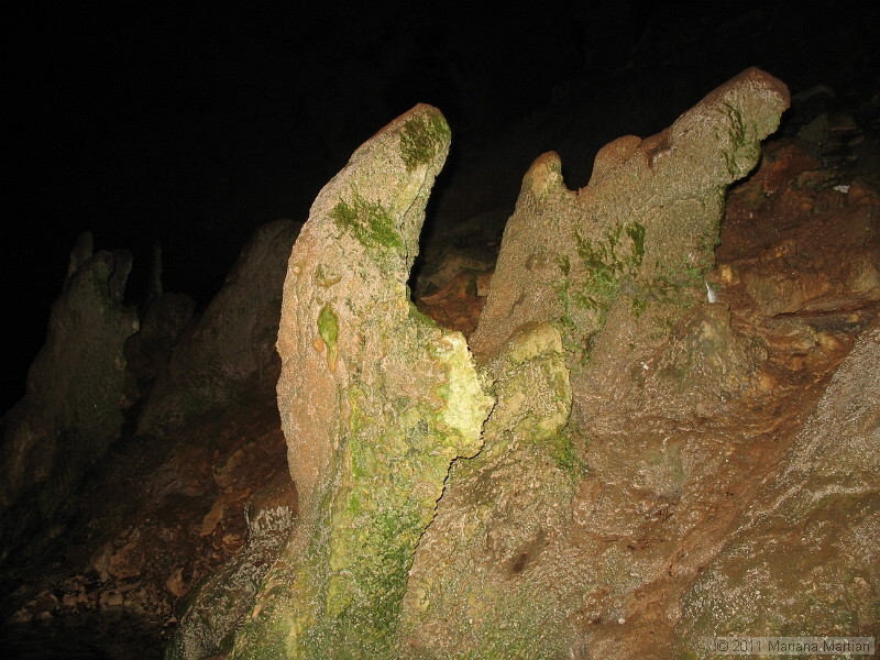 IMG_4290.JPG
