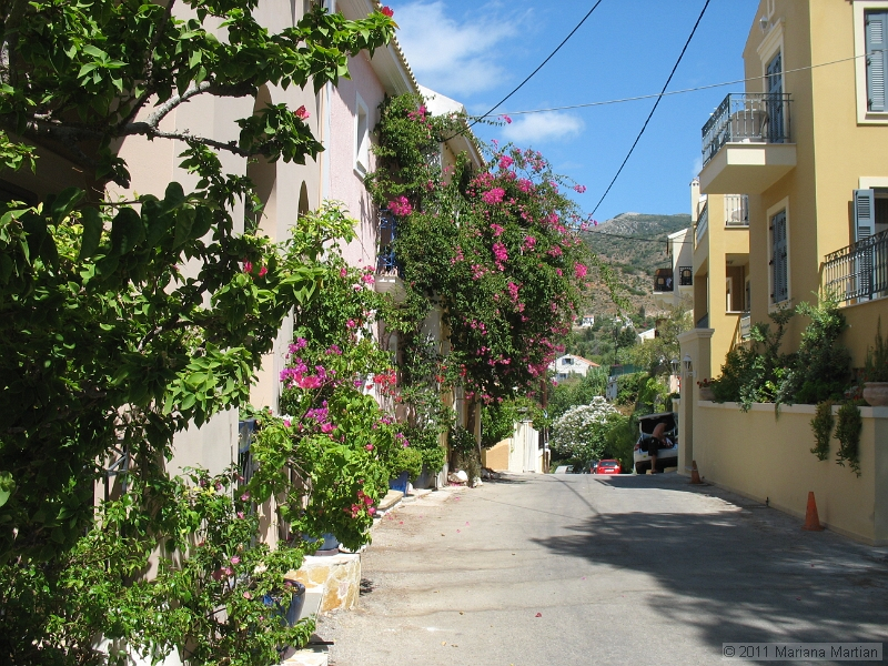 IMG_4348.JPG