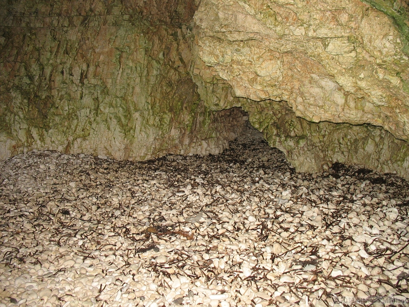 IMG_4431.JPG