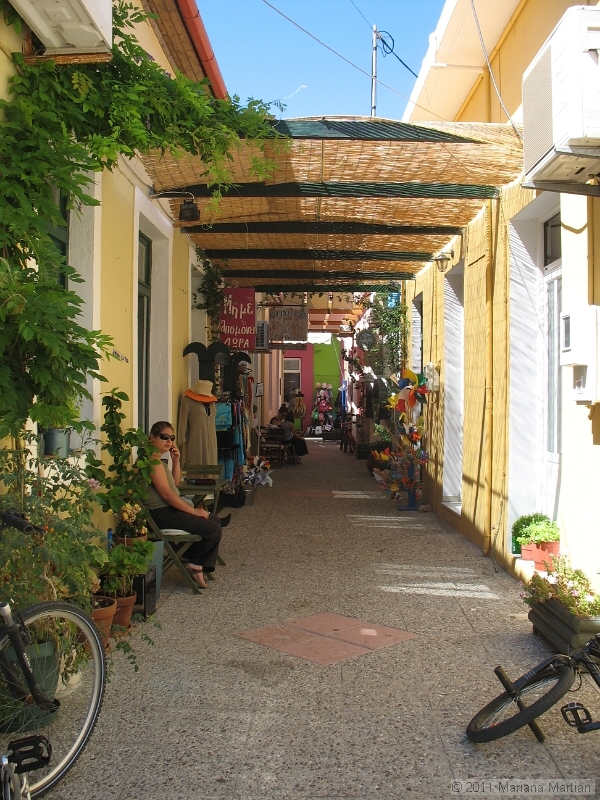 IMG_4478.JPG