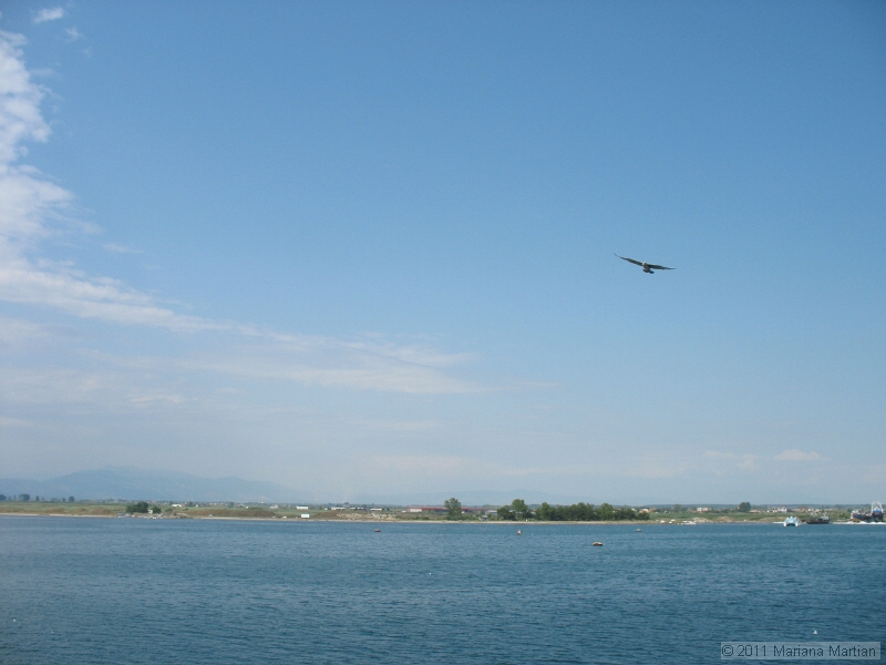 IMG_4569.JPG