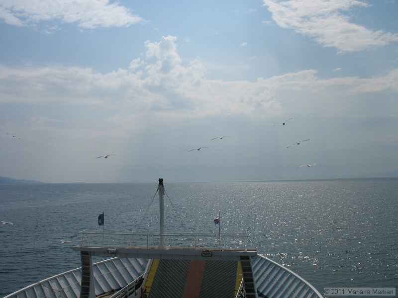 IMG_4570.JPG