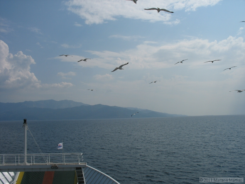 IMG_4571.JPG