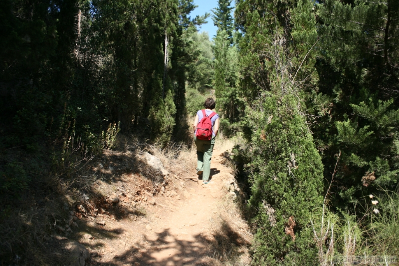IMG_5128.JPG