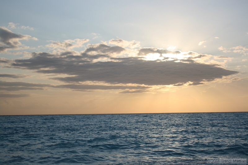 IMG_5246.JPG