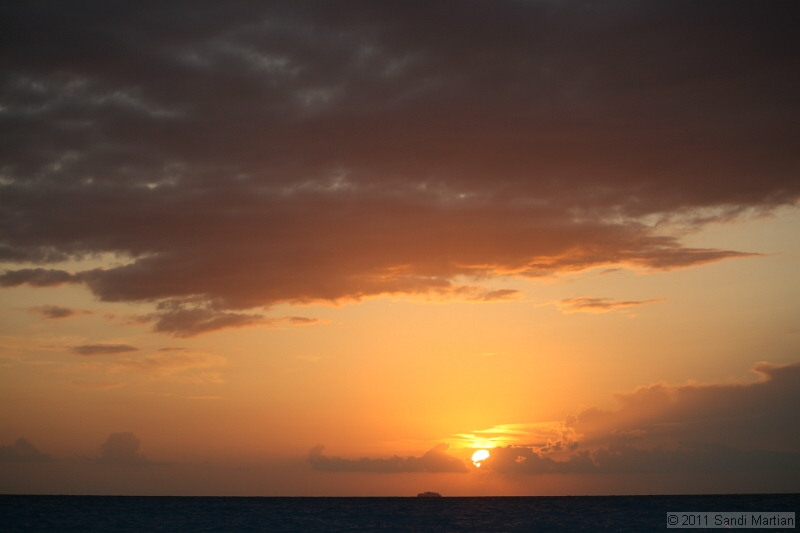IMG_5273.JPG