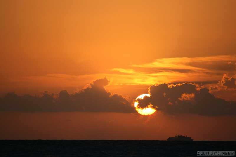 IMG_5276.JPG