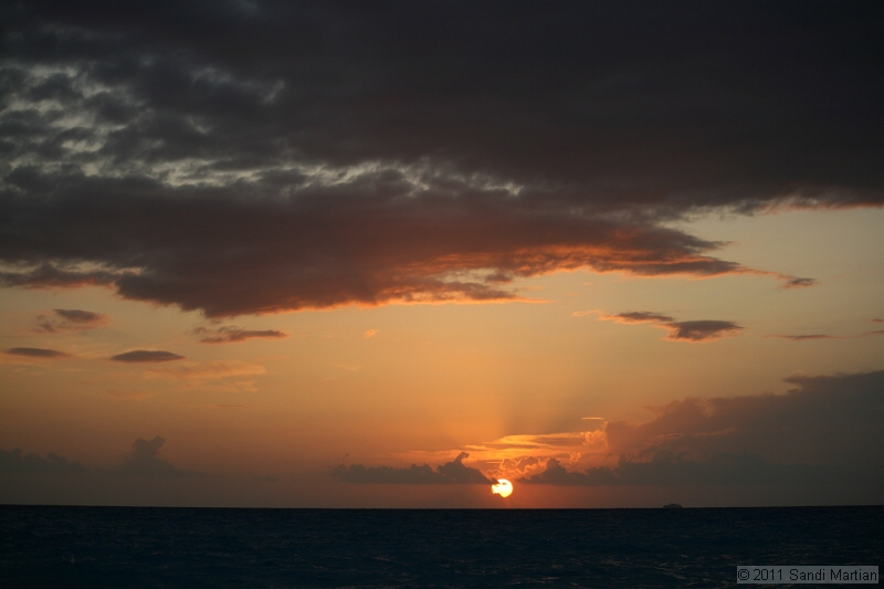 IMG_5280.JPG