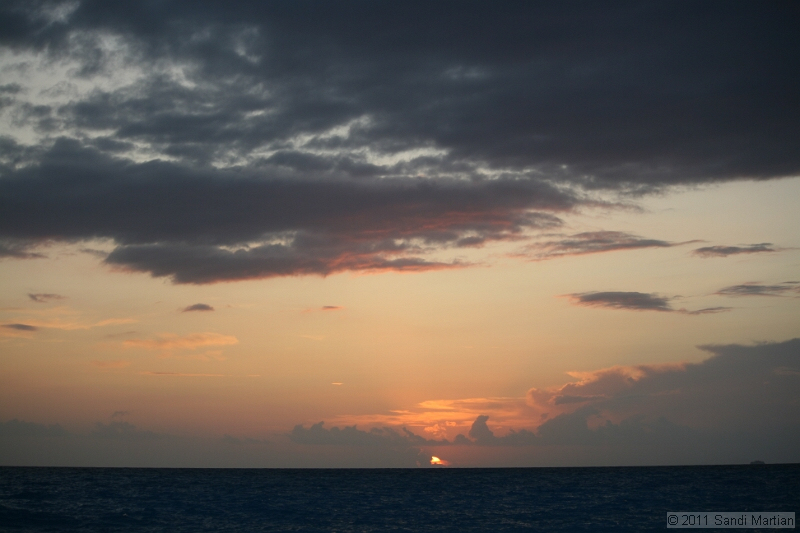 IMG_5289.JPG