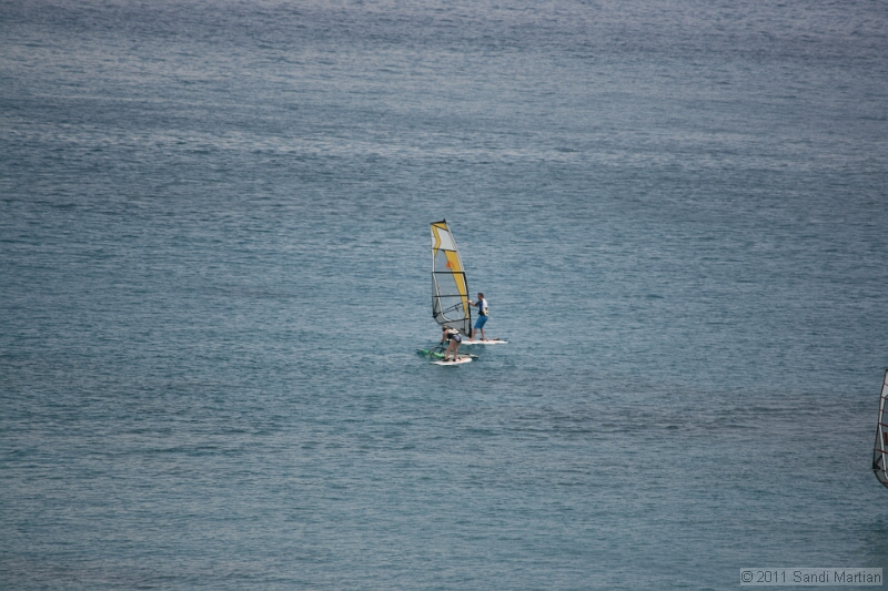 IMG_5311.JPG