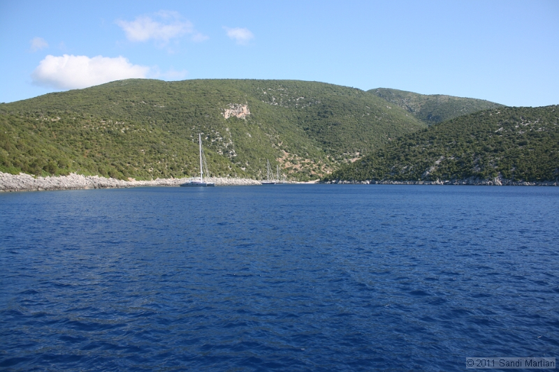 IMG_5550.JPG