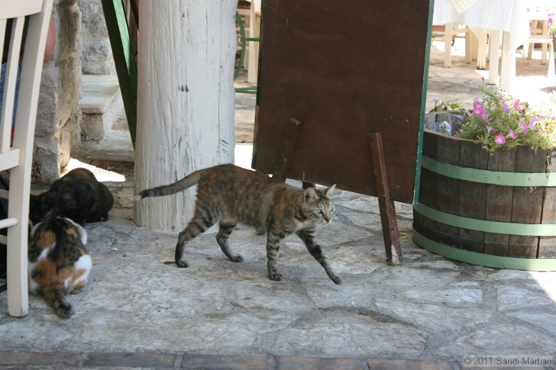 IMG_5609.JPG