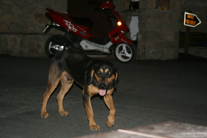 IMG_5682.JPG