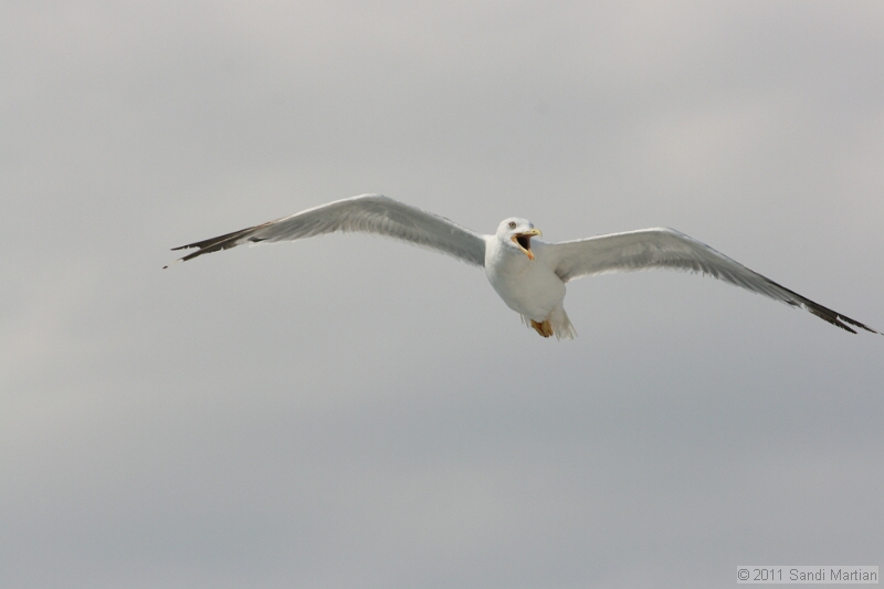 IMG_5704.JPG
