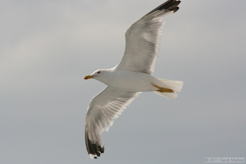 IMG_5735.JPG
