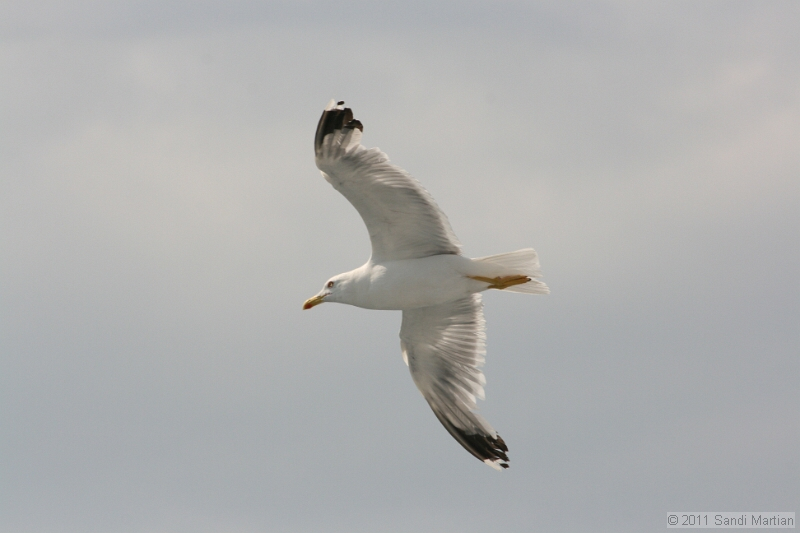 IMG_5736.JPG