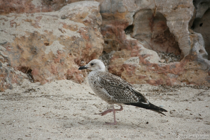 IMG_5787.JPG