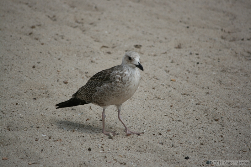 IMG_5801.JPG