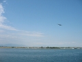IMG_4569