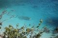 IMG_5117