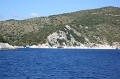 IMG_5558