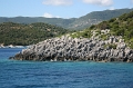 IMG_5561