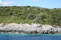 IMG_5562