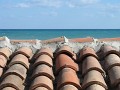 IMG_4832
