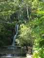 IMG_4836