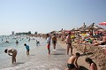 IMG_6338