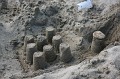 IMG_6350