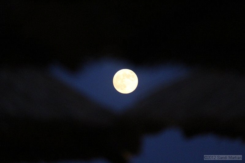 IMG_0299.JPG