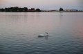 IMG_0107