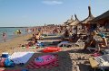 IMG_0233