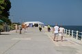 IMG_0339